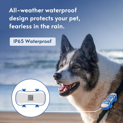 GP30 Pet GPS Tracker 4G IP67 Waterproof, 800mAh Lightweight Real-Time Dog Cat Tracker with 1s Hot Start